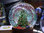 Bola de cristal con tren y árbol de navidad